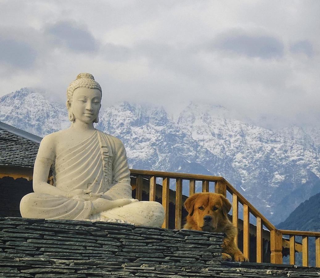 Osho Himalayas Wellness Resort Кангра Екстер'єр фото